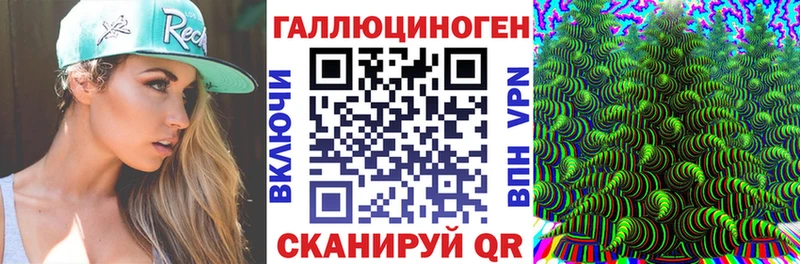 Псилоцибиновые грибы Psilocybe  купить   Оса 