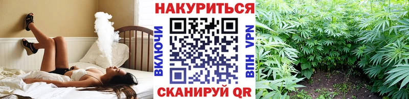Канабис Amnesia  цена   Оса 